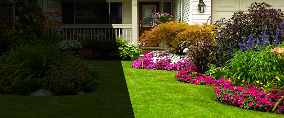 Liverpool Landscapers